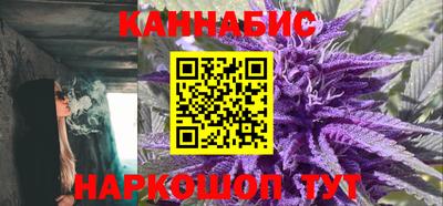 прущие крисы Будённовск