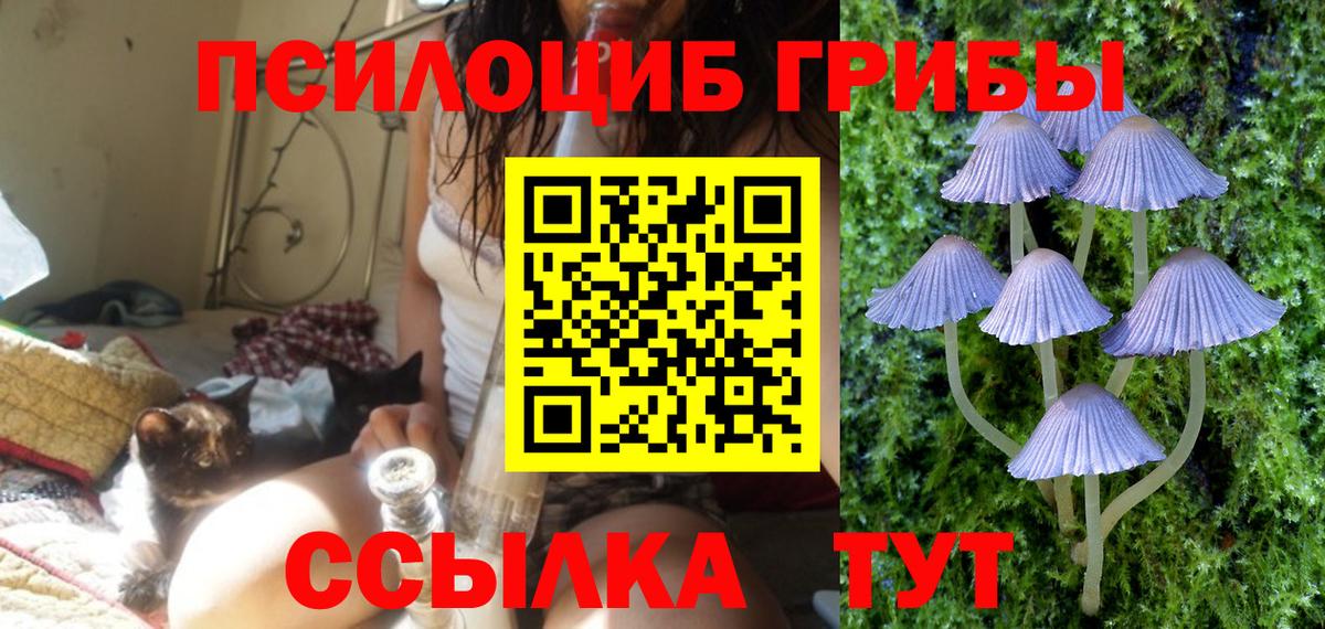 Псилоцибиновые грибы прущие грибы  Галлюциногенные грибы ЛСД  Вход с VPN  Междуреченск 