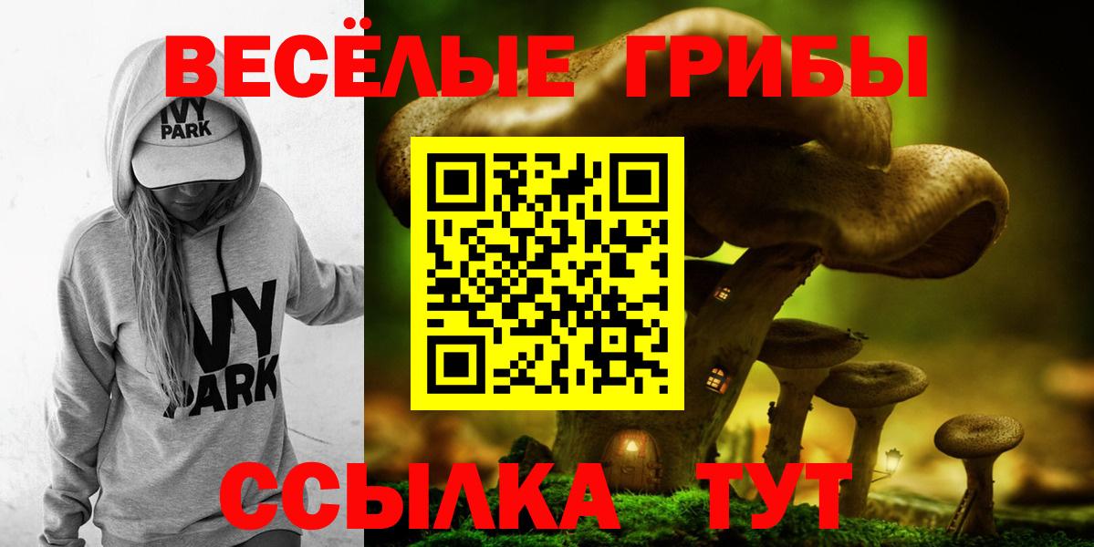 Галлюциногенные грибы Psilocybine cubensis Междуреченск